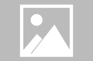 CBA常规赛：山西汾酒胜南京天之蓝|中国男子篮球职业联赛|托尼-帕克|南京队|胡崇洋|球员