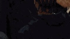 NBA直播-别生气了哈登...他竟然笑着跟登哥求和